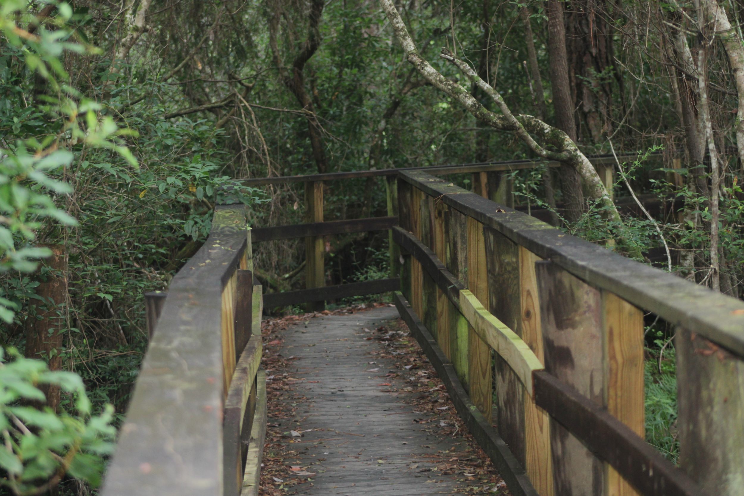 Ferry Pass Shutterstock 2481693683